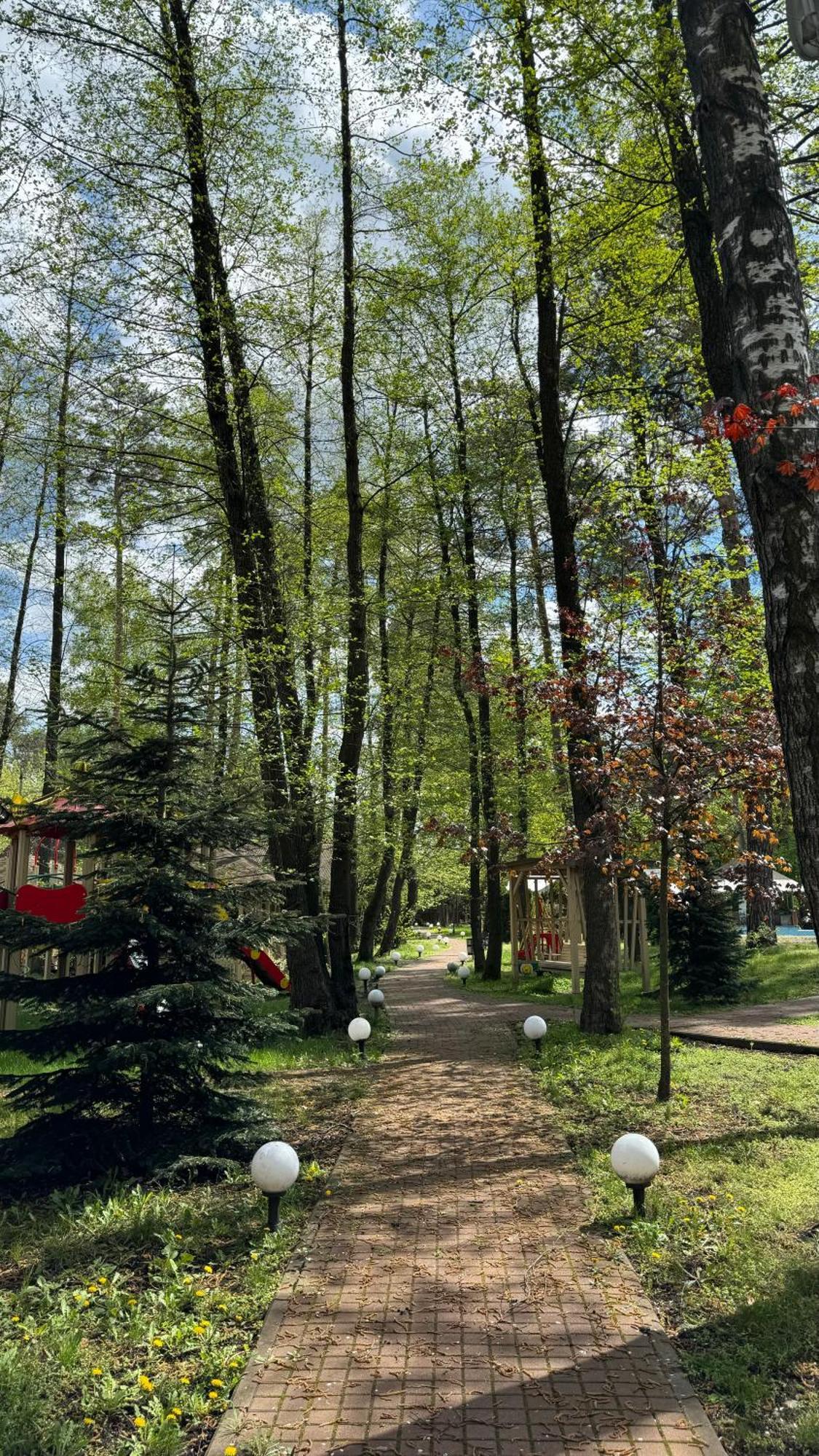 Tysha Forest Club Romankiv Экстерьер фото